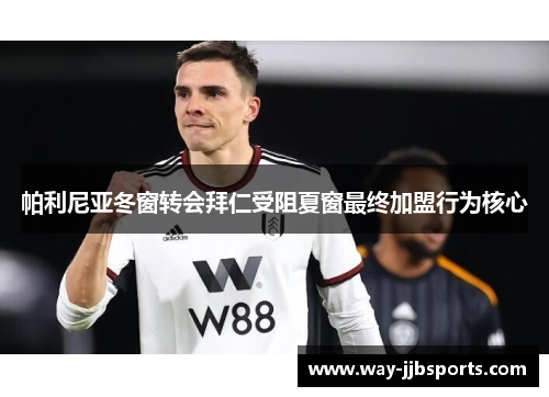 帕利尼亚冬窗转会拜仁受阻夏窗最终加盟行为核心